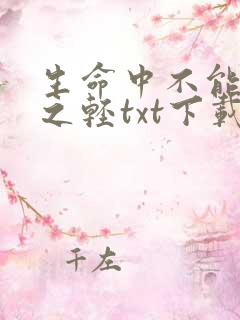 生命中不能承受之轻txt下载