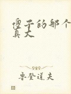 傻子的那个东西真大