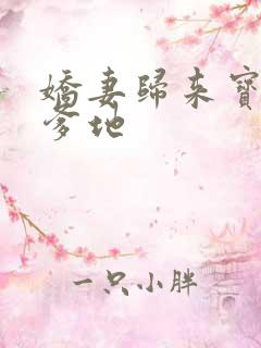 娇妻归来宝贝叫爹地