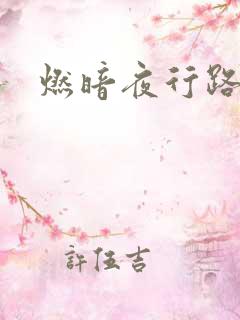燃暗夜行路