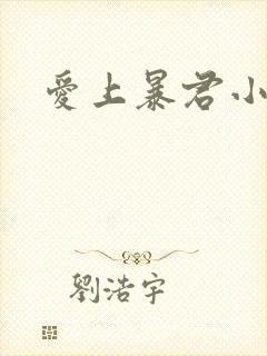 爱上暴君小甜心