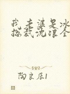 我老婆是冰山女总裁沈浪全集