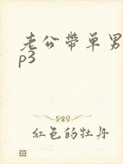 老公带单男回来p3