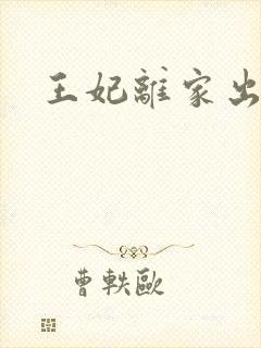 王妃离家出走