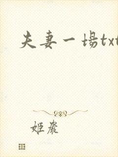 夫妻一场txt