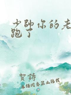 少帅你的老婆又跑了