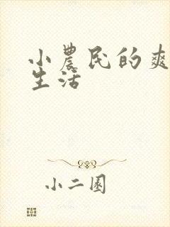 小农民的爽歪歪生活