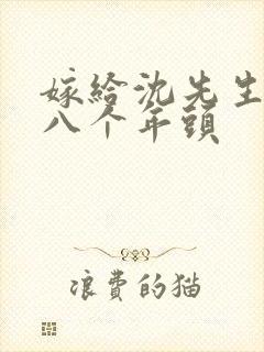 嫁给沈先生的第八个年头