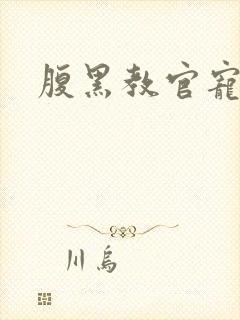 腹黑教官宠逃妻