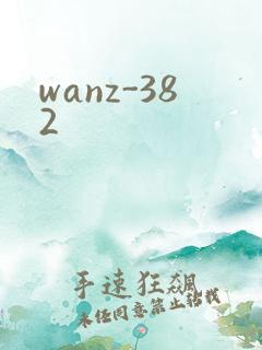 wanz-382