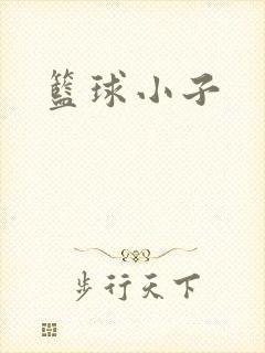 篮球小子
