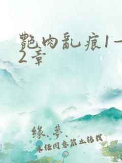 艳肉乱痕1—12章