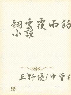 翻云覆雨的秘密小说