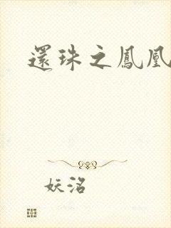 还珠之凤凰重生