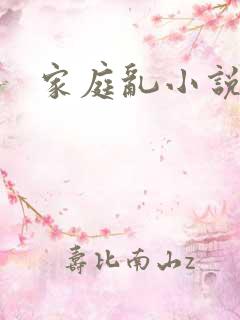 家庭乱小说