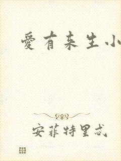爱有来生小说