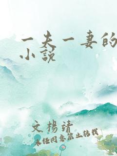 一夫一妻的玄幻小说