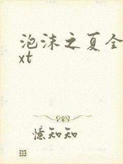 泡沫之夏全集txt