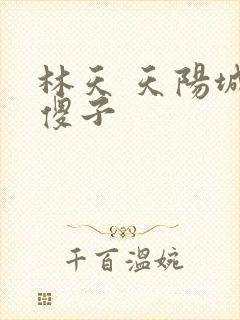 林天 天阳城 傻子