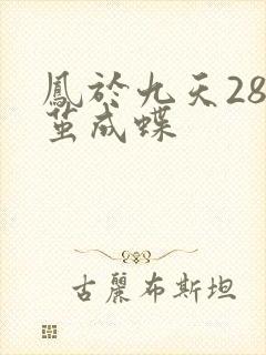 凤于九天28破茧成蝶