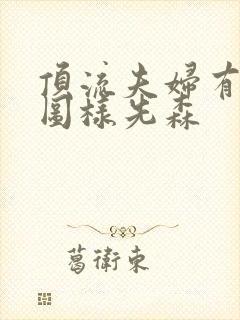 顶流夫妇有点甜图样先森