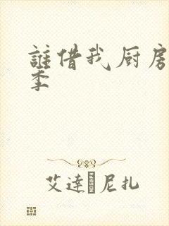 谁借我厨房第二季