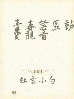 青春禁区动漫免费观看