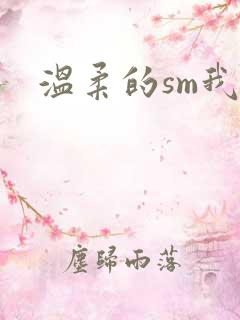 温柔的sm我