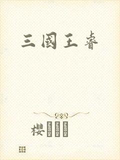 三国王睿
