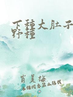 下种大肚子怀孕野种