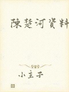 陈楚河资料