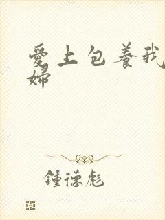 爱上包养我的情妇