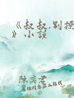 《叔叔,别撩我》小说