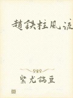 赵铁柱风流小说