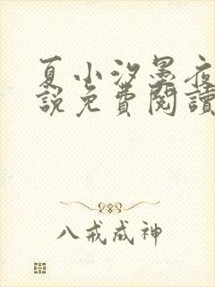 夏小汐墨夜霆小说免费阅读