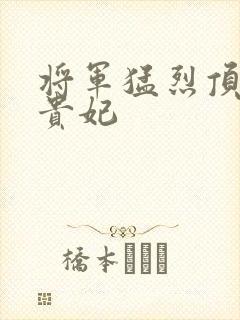 将军猛烈顶弄h贵妃