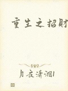 重生之招财进宝