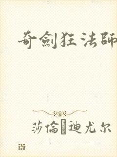 奇剑狂法师下载