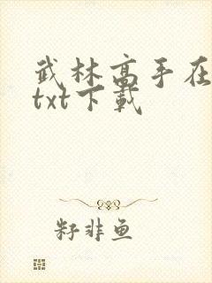 武林高手在校园txt下载