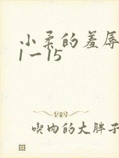 小柔的羞辱日记1一15