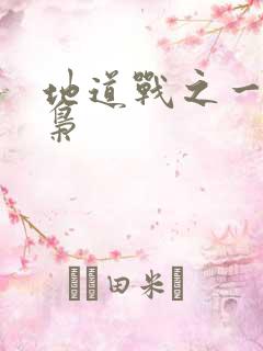 地道战之一代功枭