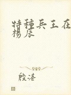 特种兵王在都市杨辰