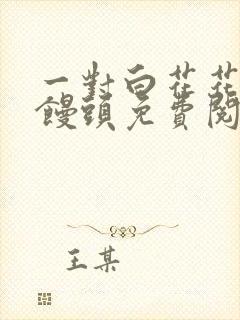 一对白花花的大馒头免费阅读