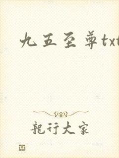 九五至尊txt