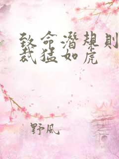 致命潜规则 总裁猛如虎