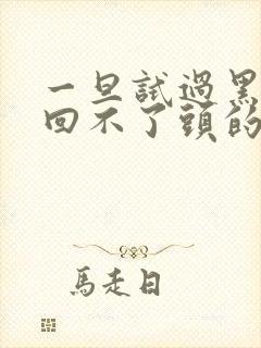 一旦试过黑人就回不了头的英文