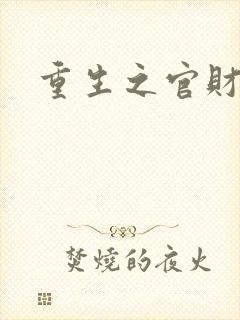 重生之官财人生