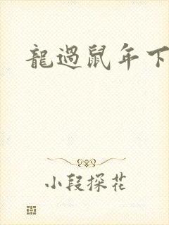 龙过鼠年下载