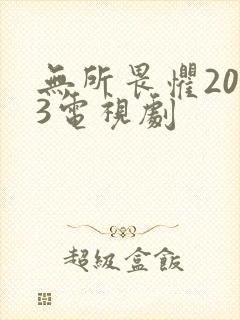 无所畏惧2023电视剧