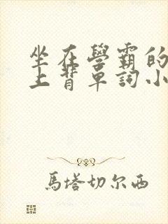 坐在学霸的棍子上背单词小说